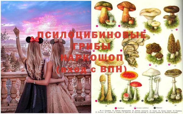 СК Волосово